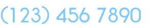 (123) 456 7890
